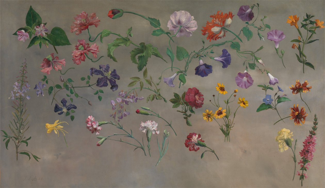Studies van Bloemen [1985, Cormack, YCBA Beknopte Catalogus] door Jacques-Laurent Agasse