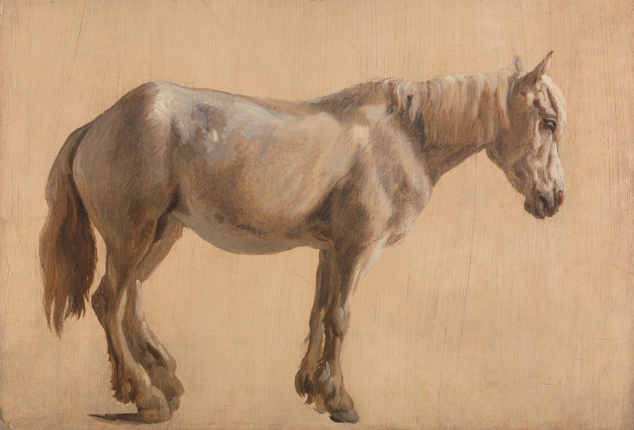 Studie van een Grijs Paard door Jacques-Laurent Agasse