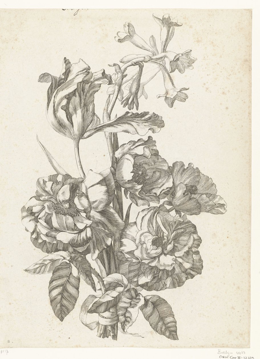 Boeket met pioenrozen, een tulp en een brodiaea door Jacques Bailly (I)