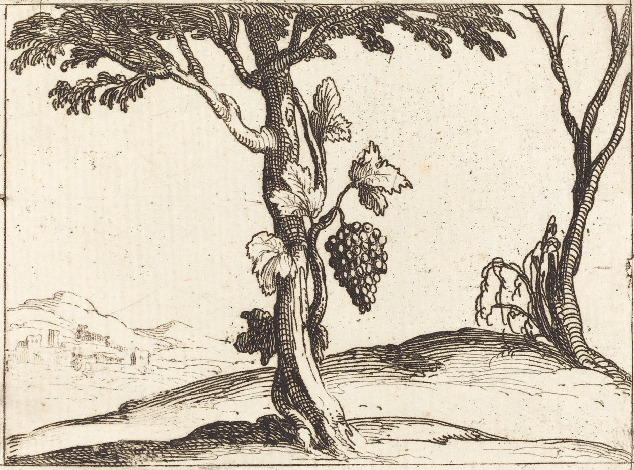Tros Druiven door Jacques Callot