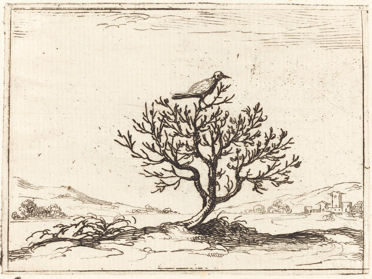 Nachtegaal in een Struik door Jacques Callot