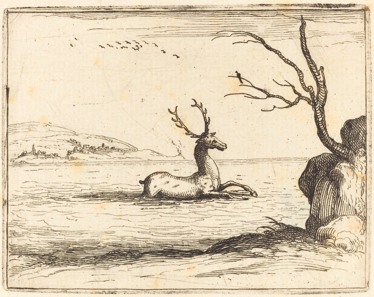 Hert in het Water door Jacques Callot
