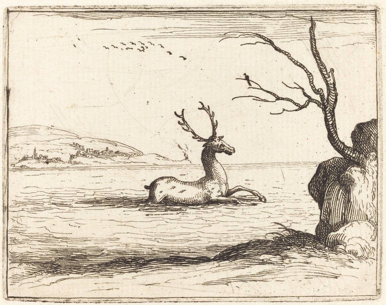 Hert in het water door Jacques Callot