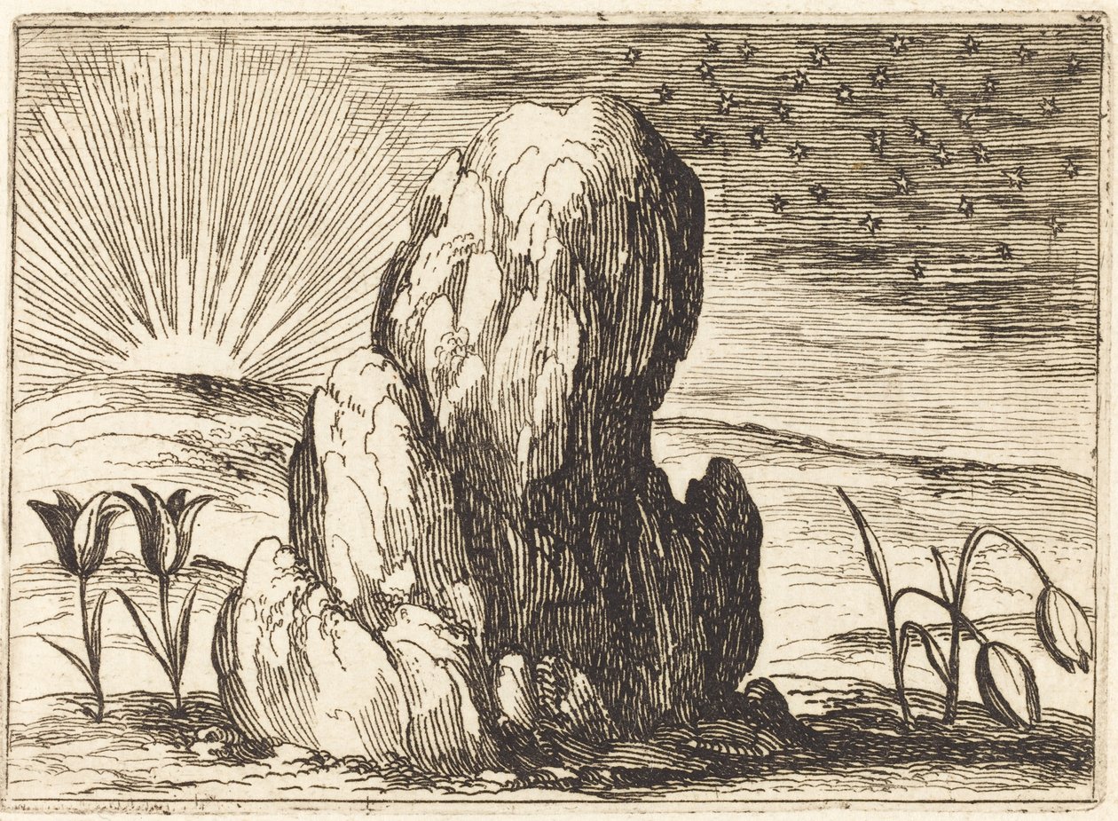 De tulpen en de zon, 1628 door Jacques Callot