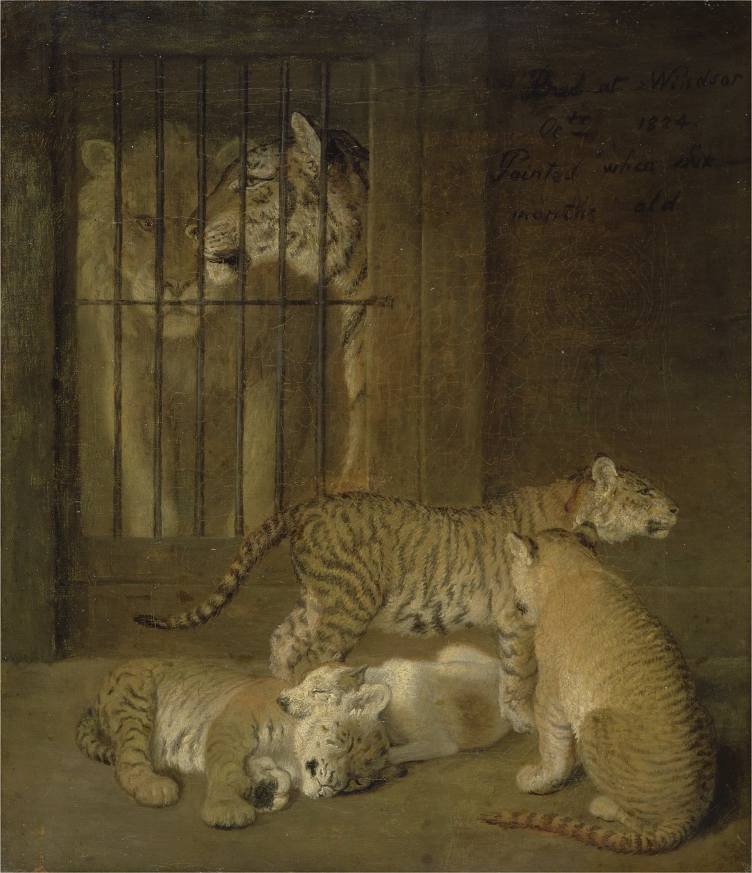 Groep welpen gefokt tussen een leeuw en een tijgerin door Jacques Laurent Agasse
