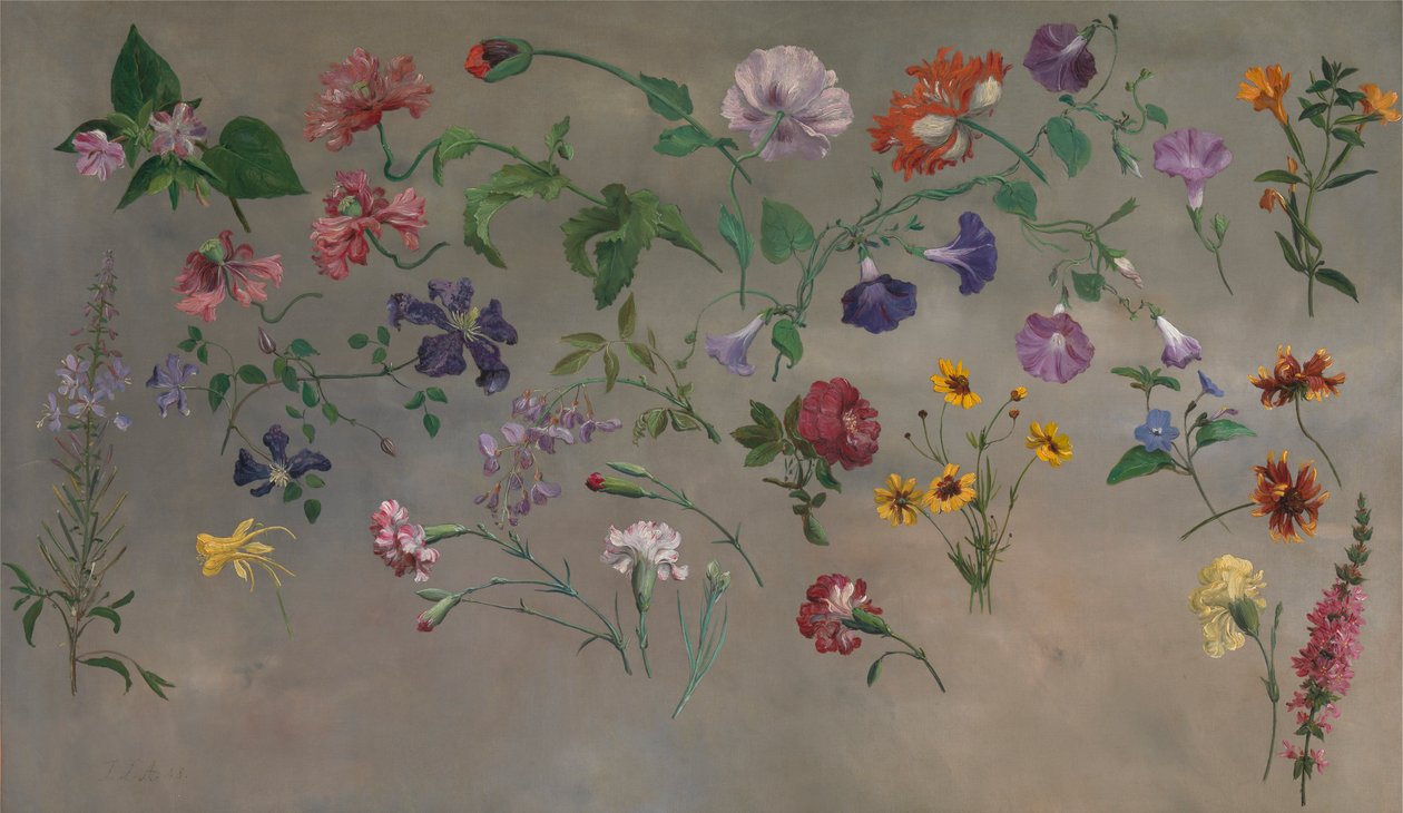 Studies van Bloemen [1985, Cormack, YCBA Beknopte Catalogus] door Jacques-Laurent Agasse