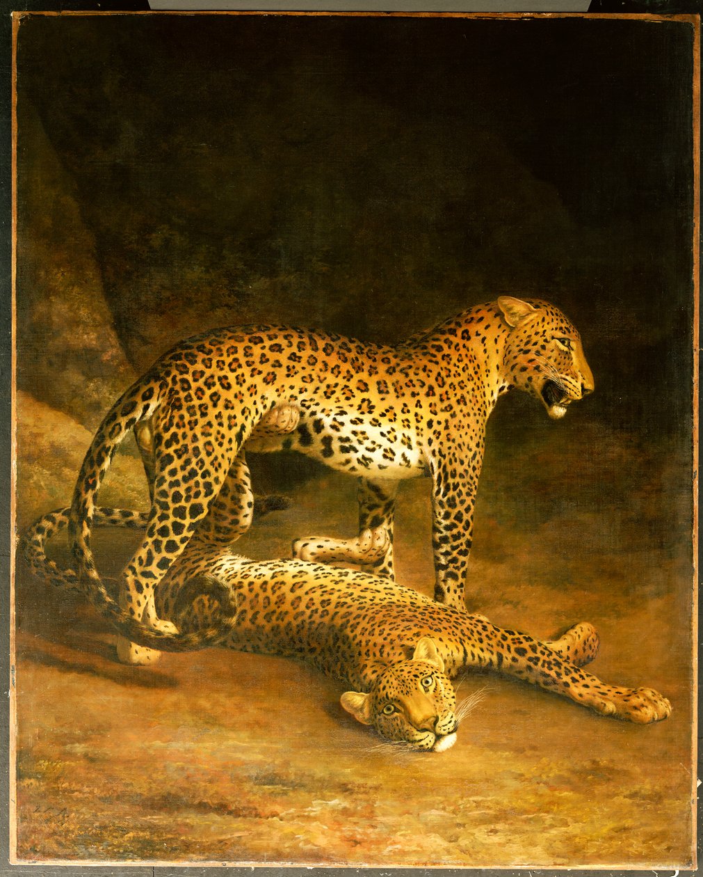 Twee luipaarden liggend in de Exeter Exchange, 1808 door Jacques Laurent Agasse