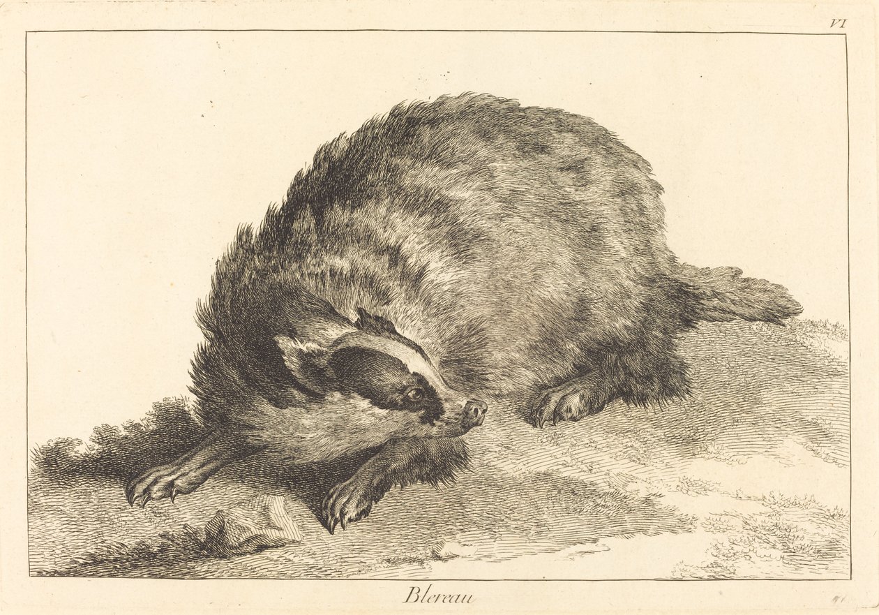 Das door Jacques Philippe Le Bas and Jean Eric Rehn after Jean Baptiste Oudry