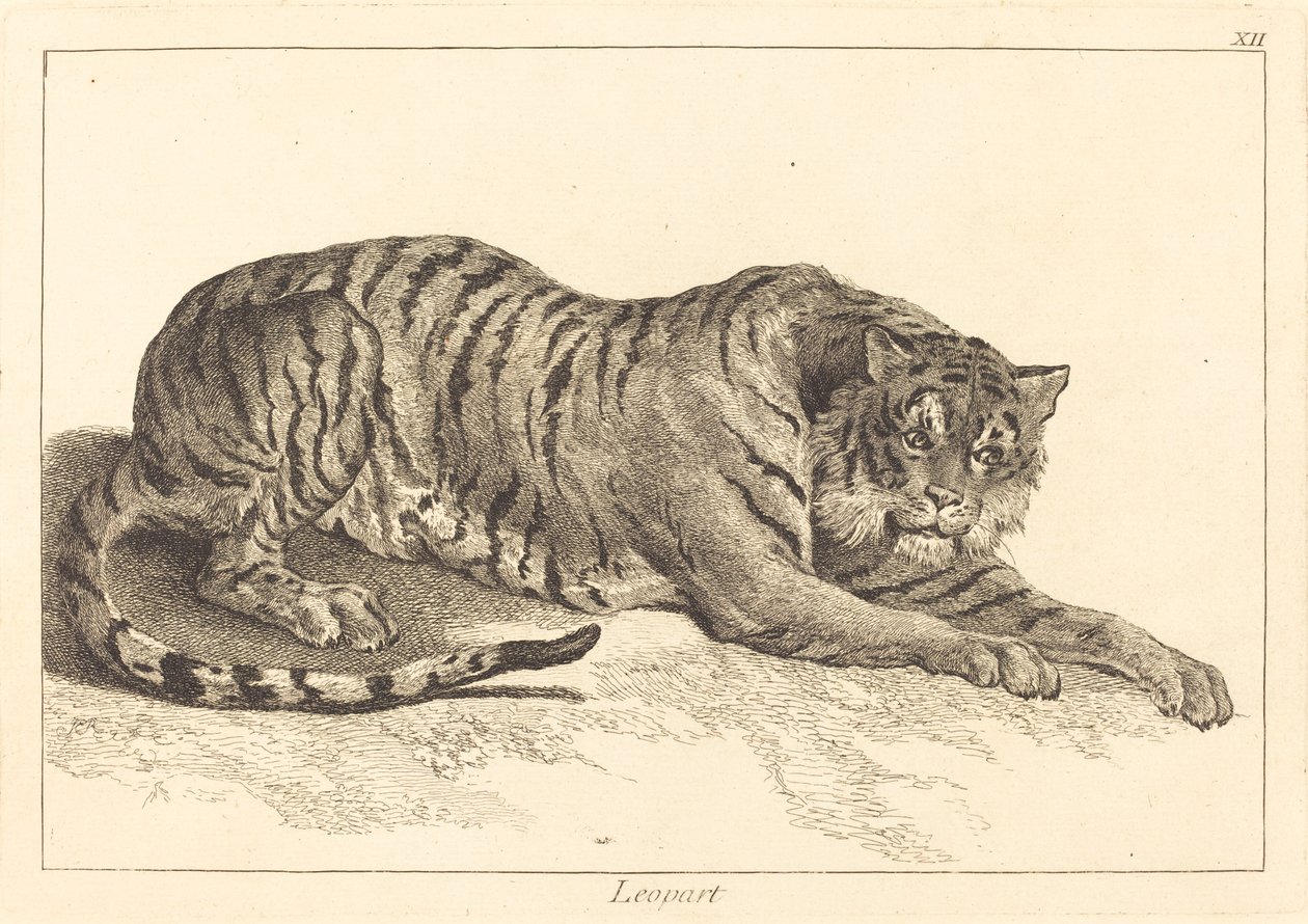 Luipaard of Tijger door Jacques Philippe Le Bas and Jean Eric Rehn after Jean Baptiste Oudry
