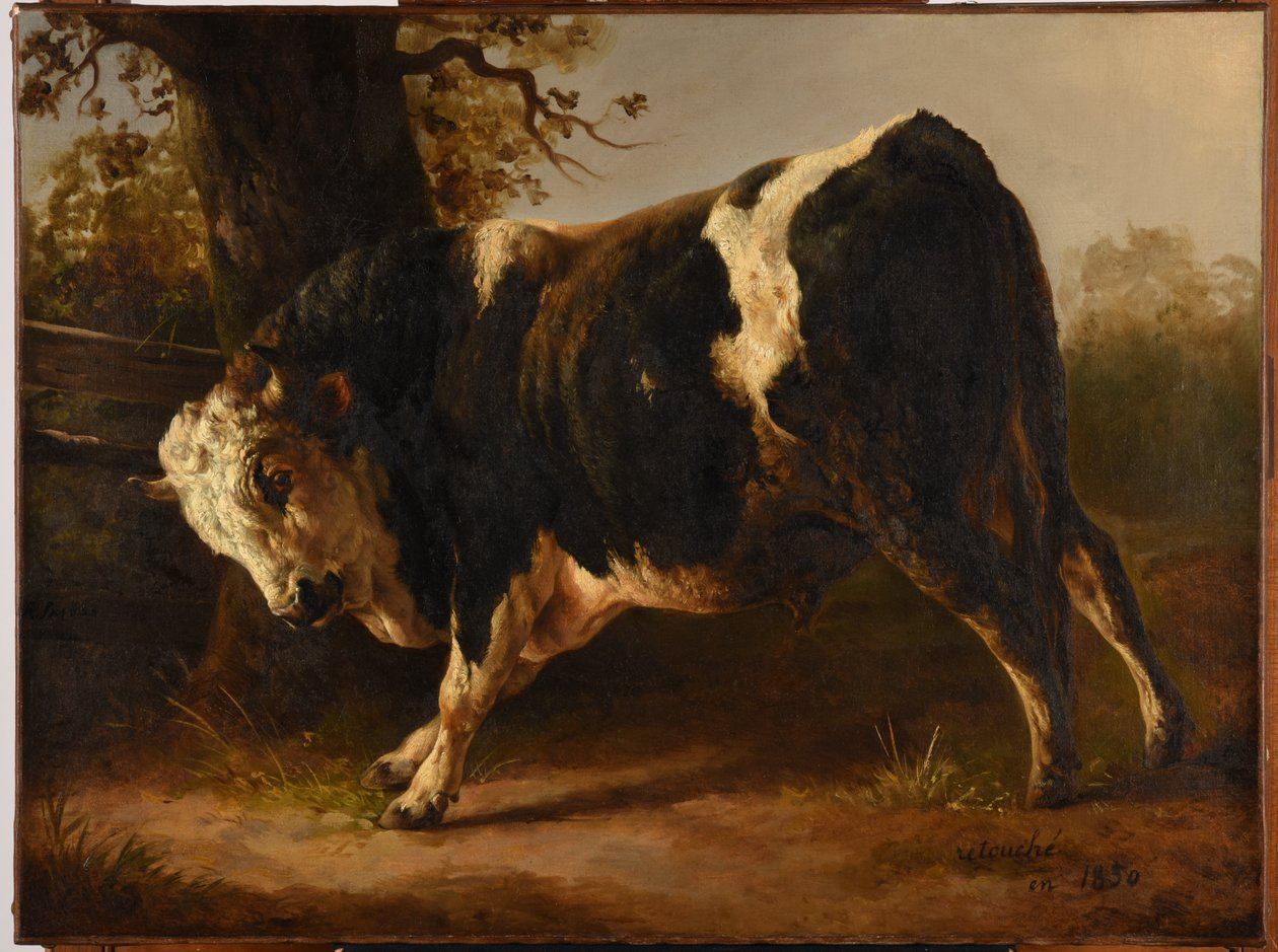 Toornige stier door Jacques Raymond Brascassat
