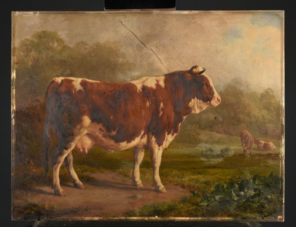 Witte en rode koe door Jacques Raymond Brascassat