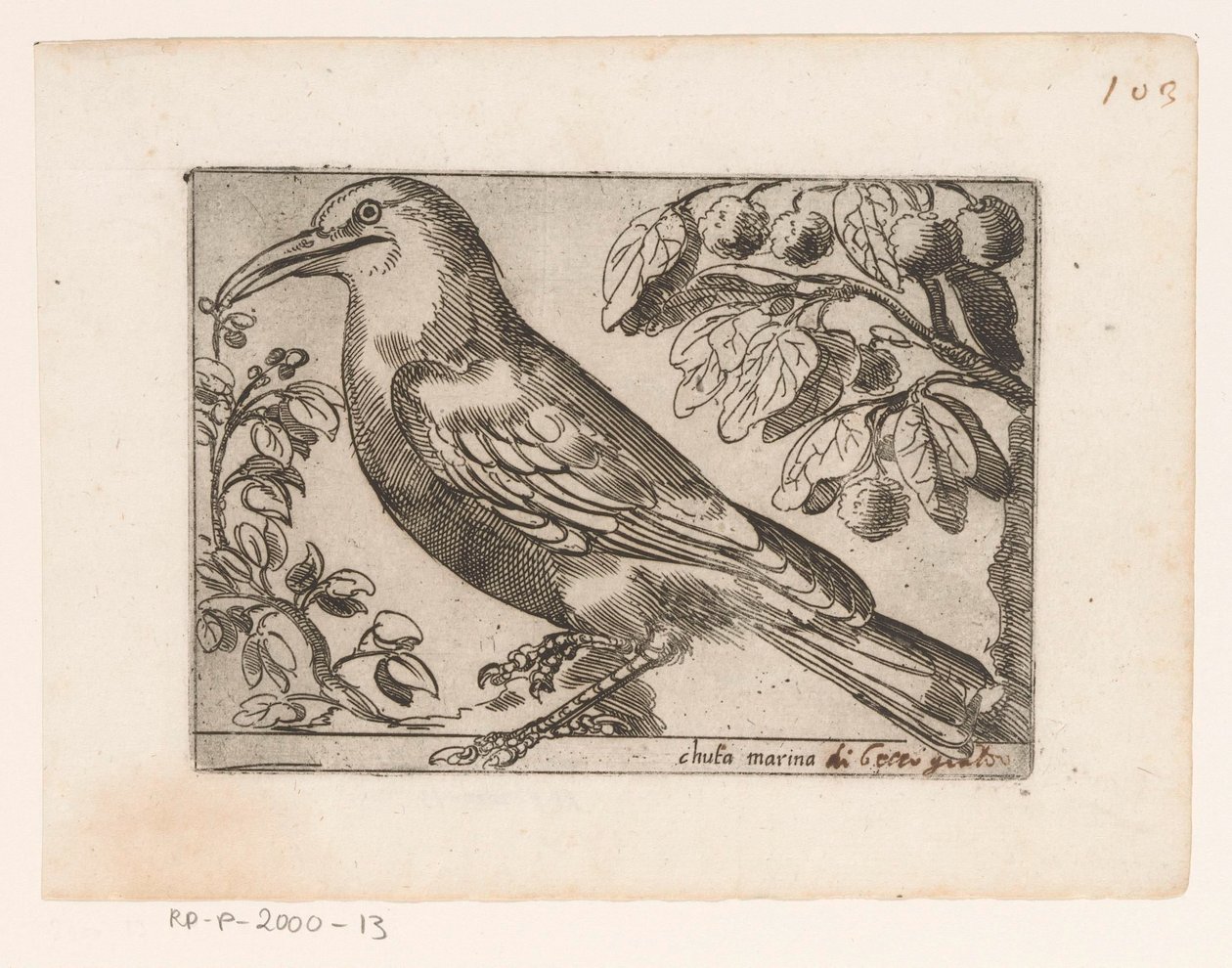 Vogel door Jacques de Fornazeris (possibly)