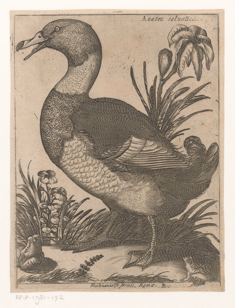Eend (Negen vogels) door Jacques de Fornazeris
