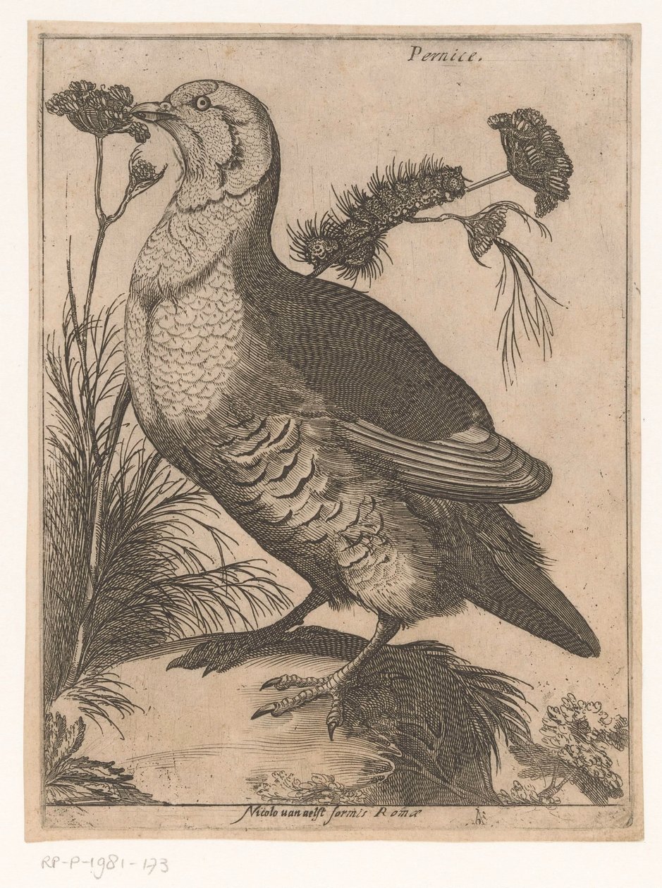 Patrijs (Negen vogels) door Jacques de Fornazeris