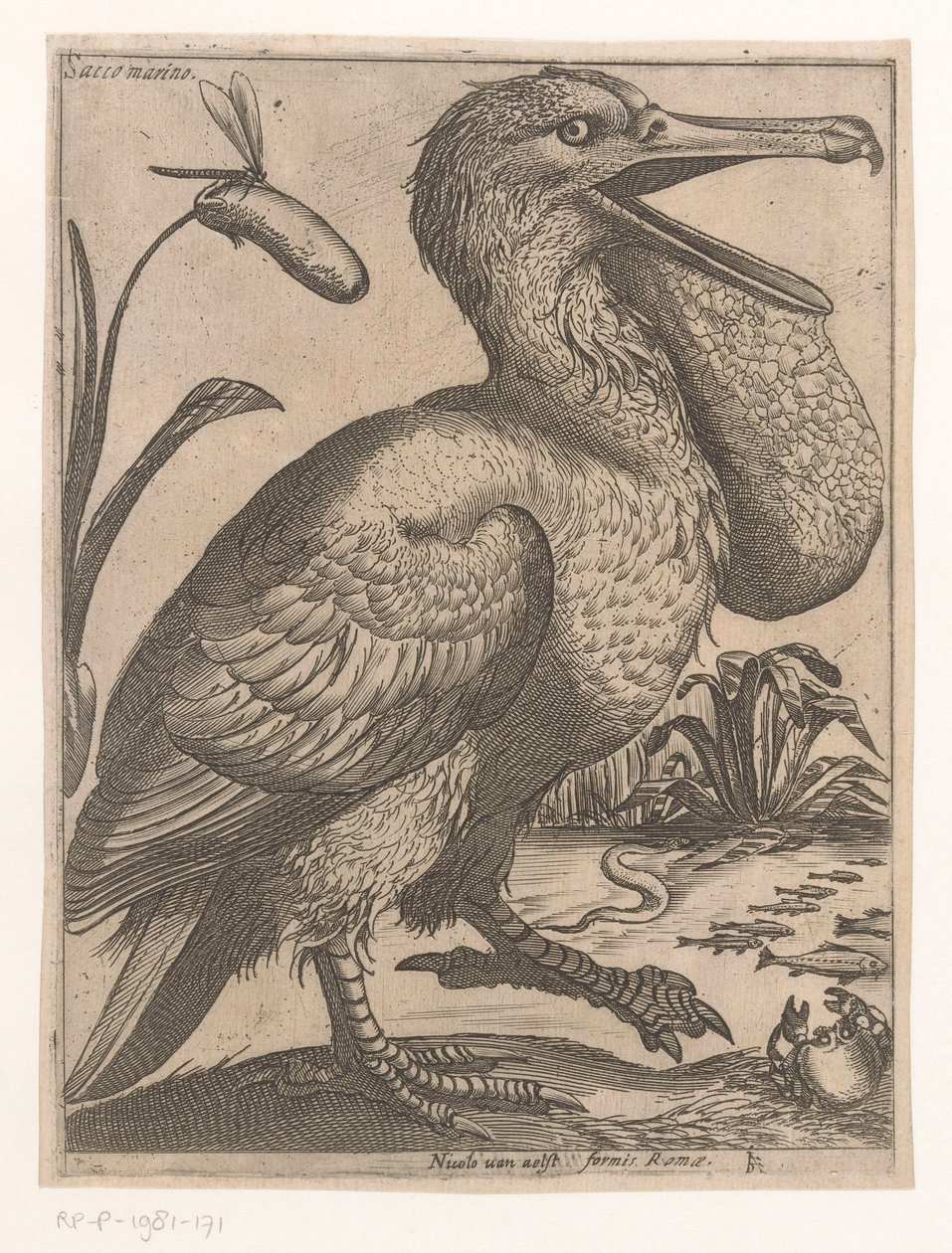 Watervogel door Jacques de Fornazeris