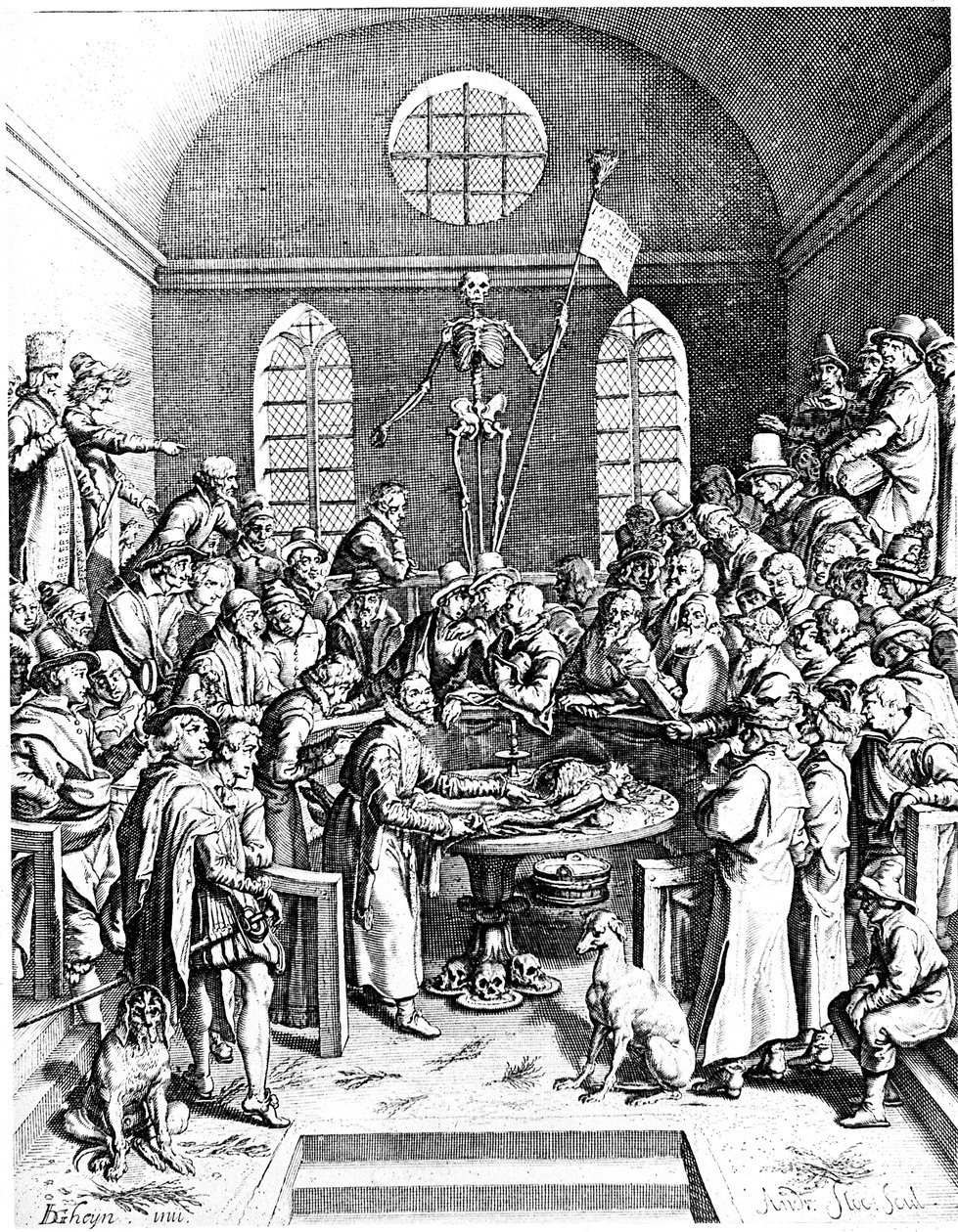 Anatomisch Theater uit de late 16e eeuw, Jacques de Gehyn de Oudere, 1633 door Jacques de Gehyn the Elder