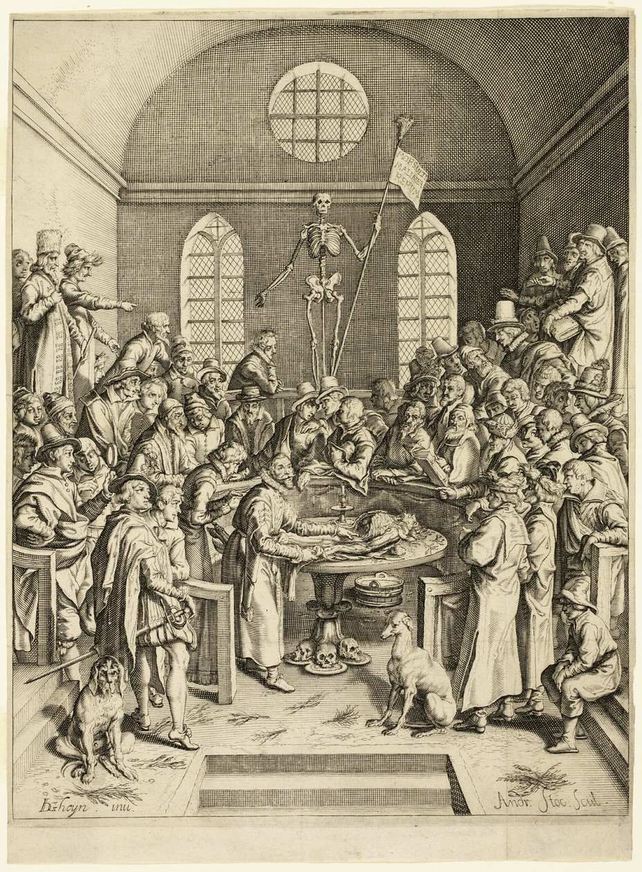 De anatomische les van professor Pauw door Jacques de Gheyn II