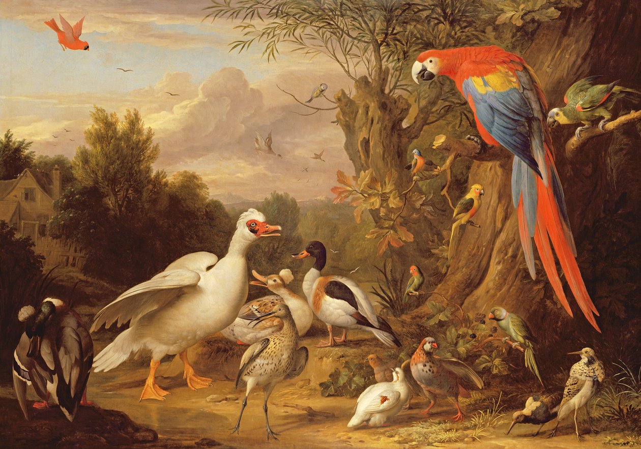 Een ara, eenden, papegaaien en andere vogels in een landschap, ca. 1708-10 door Jakob Bogdani or Bogdany