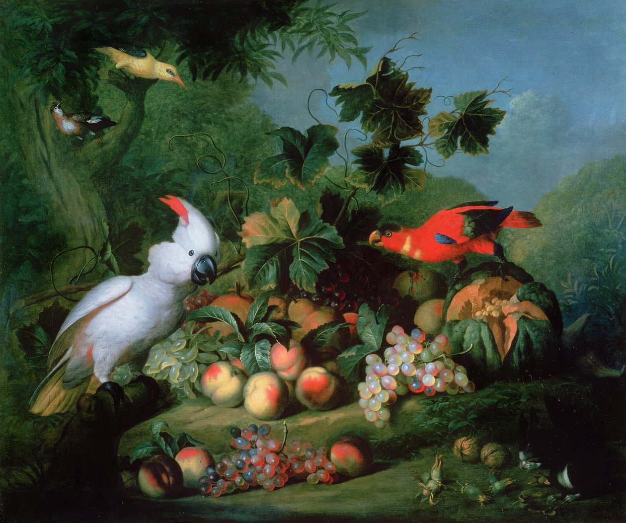 Fruit en vogels door Jakob Bogdani or Bogdany