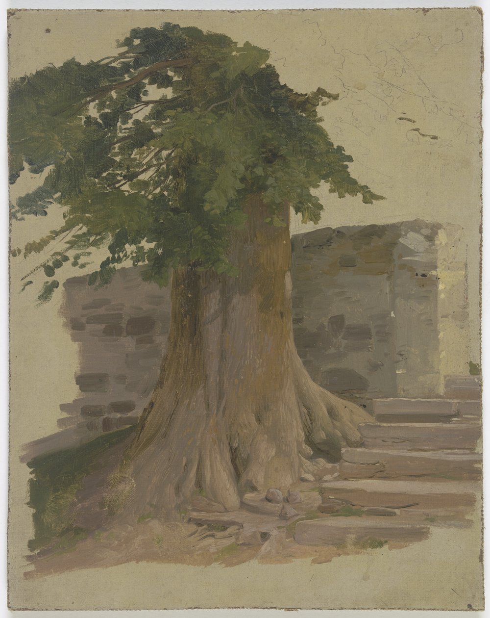 Oude boom bij een stuk muur door Jakob Becker