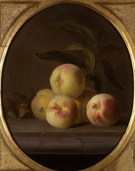 Stilleven van fruit met een vlieg door Jakob Bogdani or Bogdany