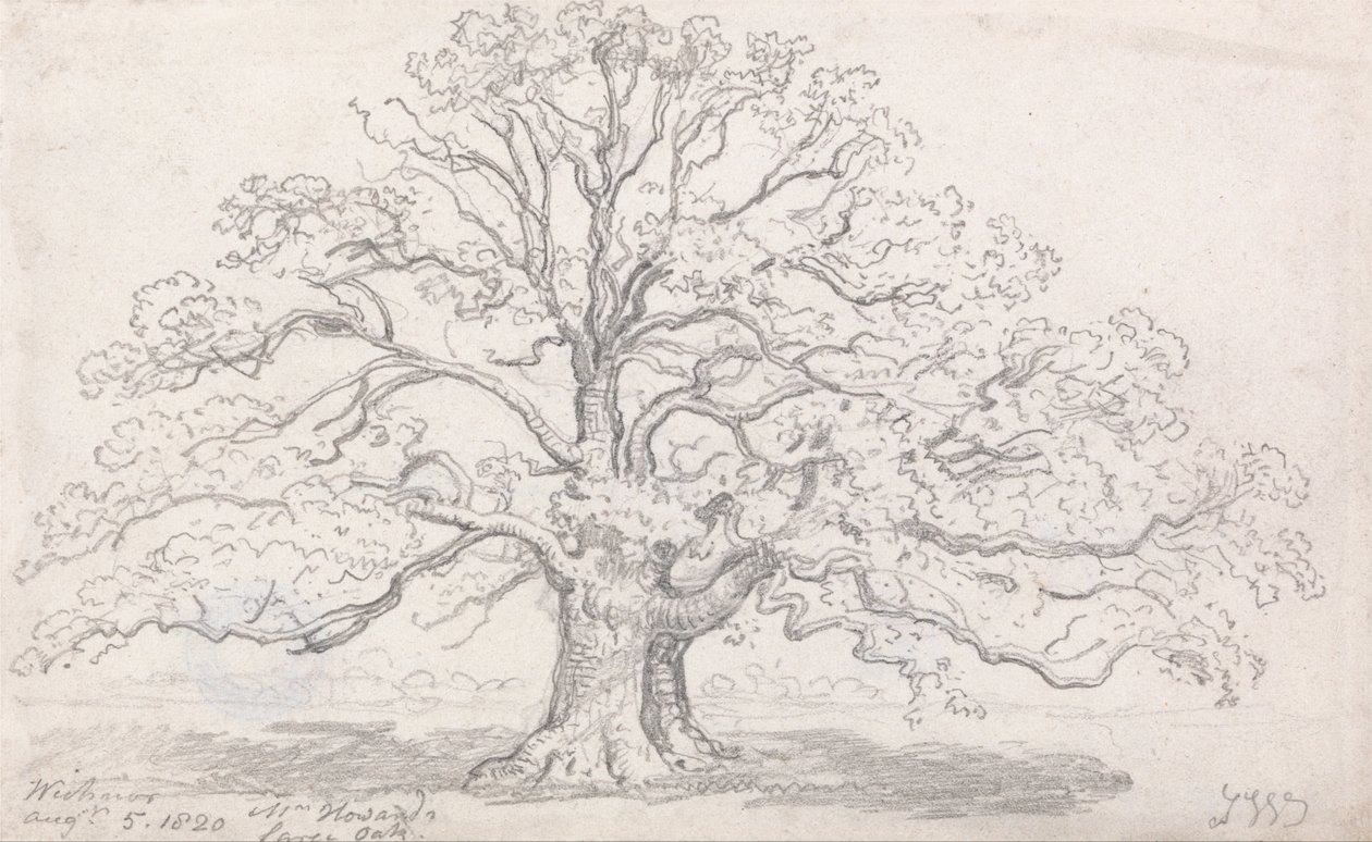De Grote Eik van Mr. Howard, 5 Augustus 1820 door James Ward