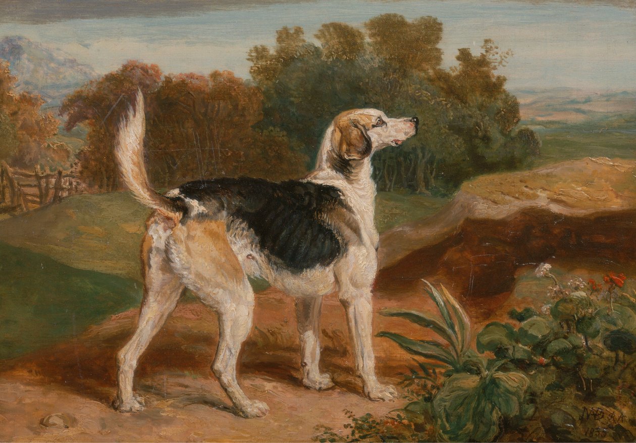 Ravager, een van de Lambton Hounds door James Ward