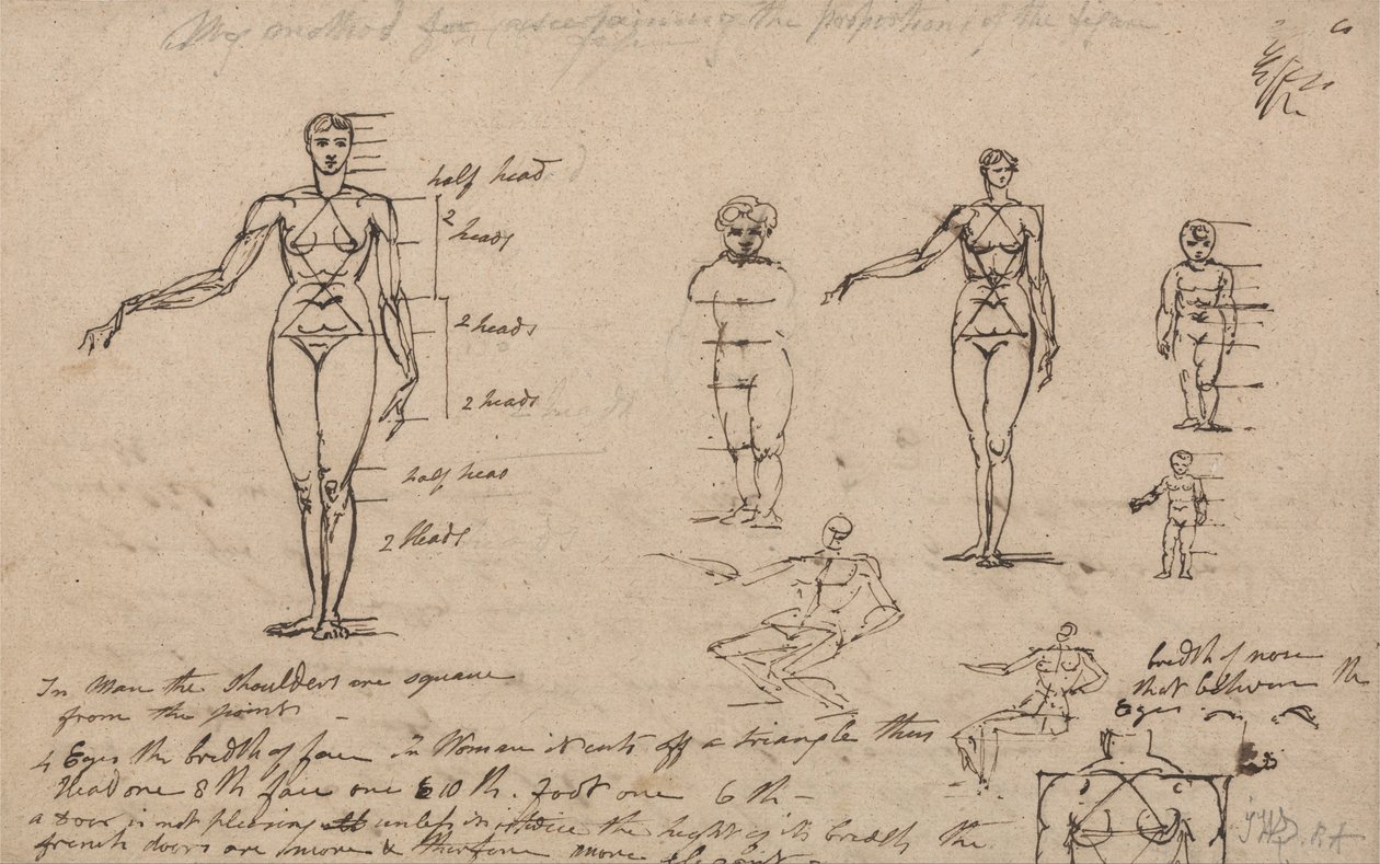 Studies van Anatomie, Metingen en Schrijven door James Ward