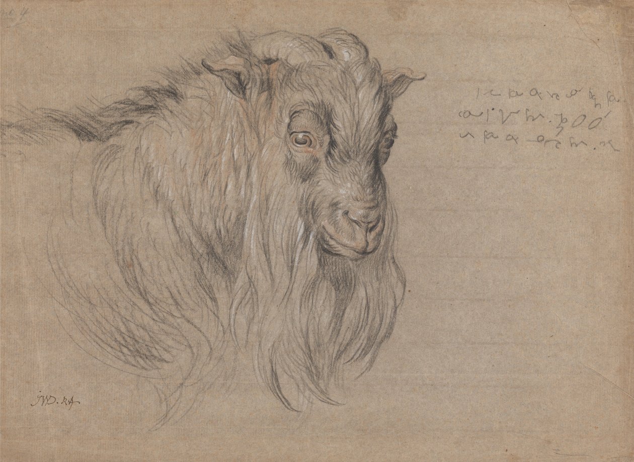 Studie van het Hoofd van een Ram door James Ward