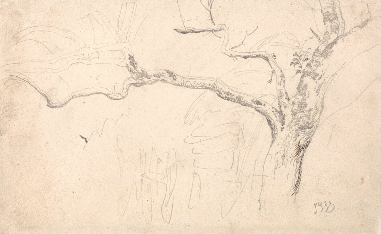 Boomstudie door James Ward