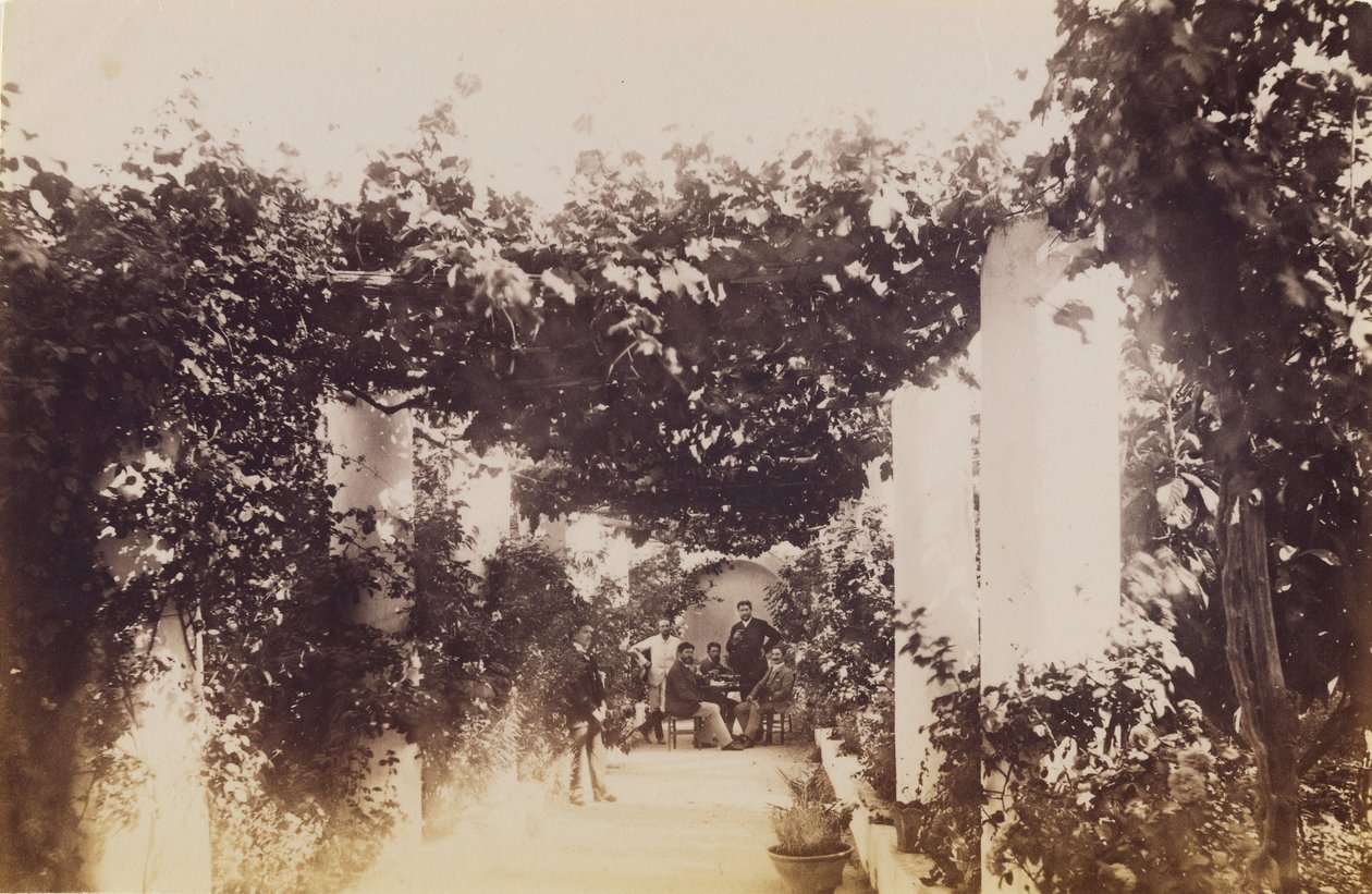Tuin - Capri door James Anderson