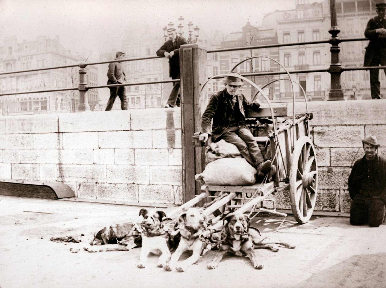 Man met hondenkar, Antwerpen, 1898 door James Batkin