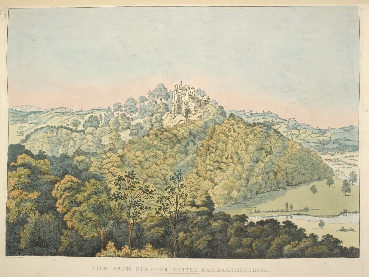 Uitzicht vanaf Dynevor Castle, met uitzicht op de rivier Towy en Golden Grove door James Bretherton