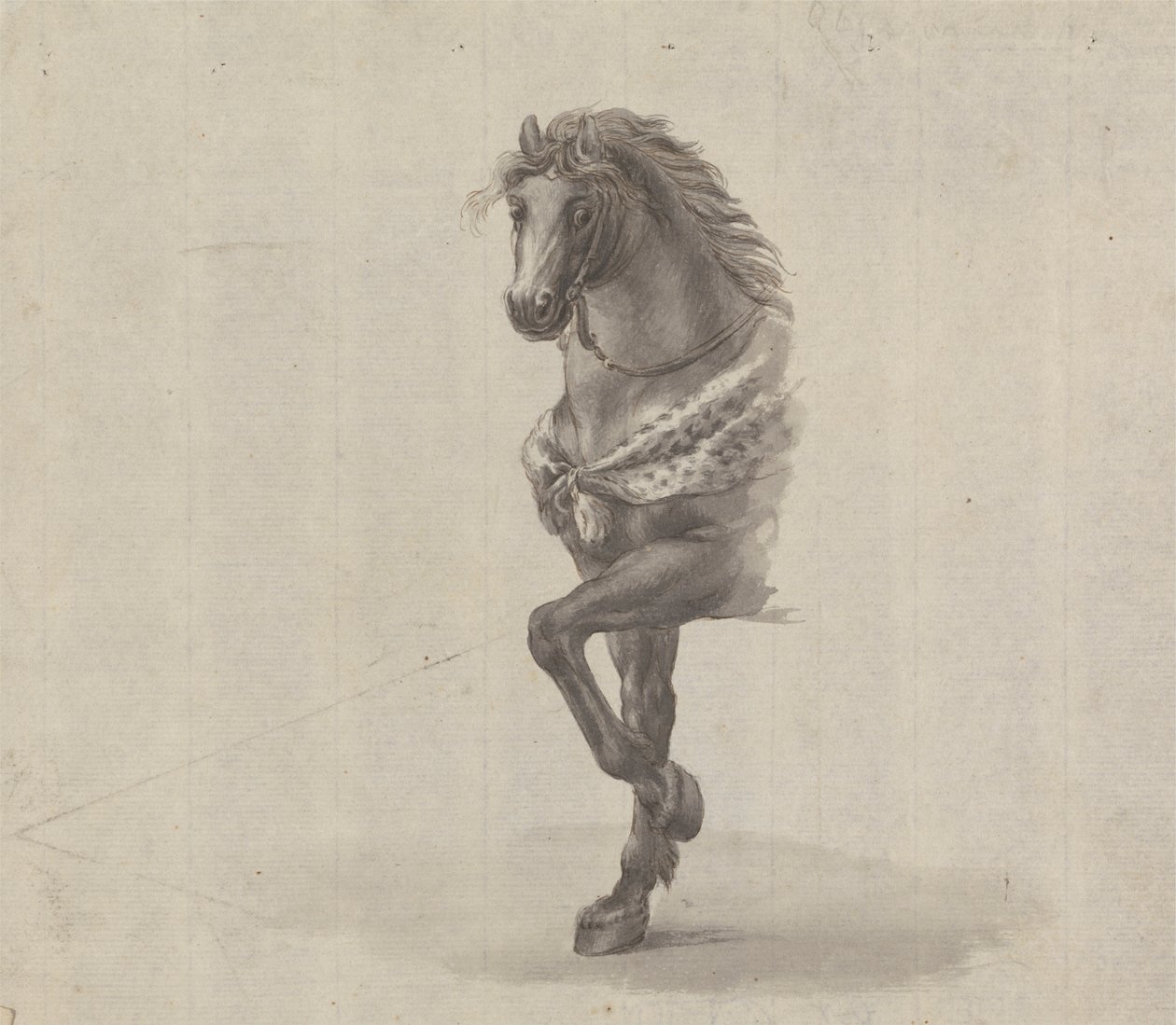 Studie van de voorkant van een paard door James Bruce