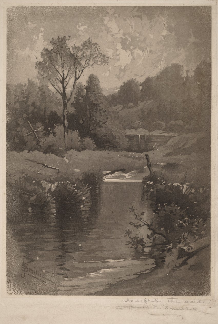 Een oude dam bij Montrose door James David Smillie