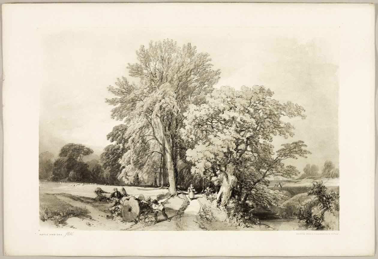 Abele en Eik, uit Het Park en het Bos door James Duffield Harding