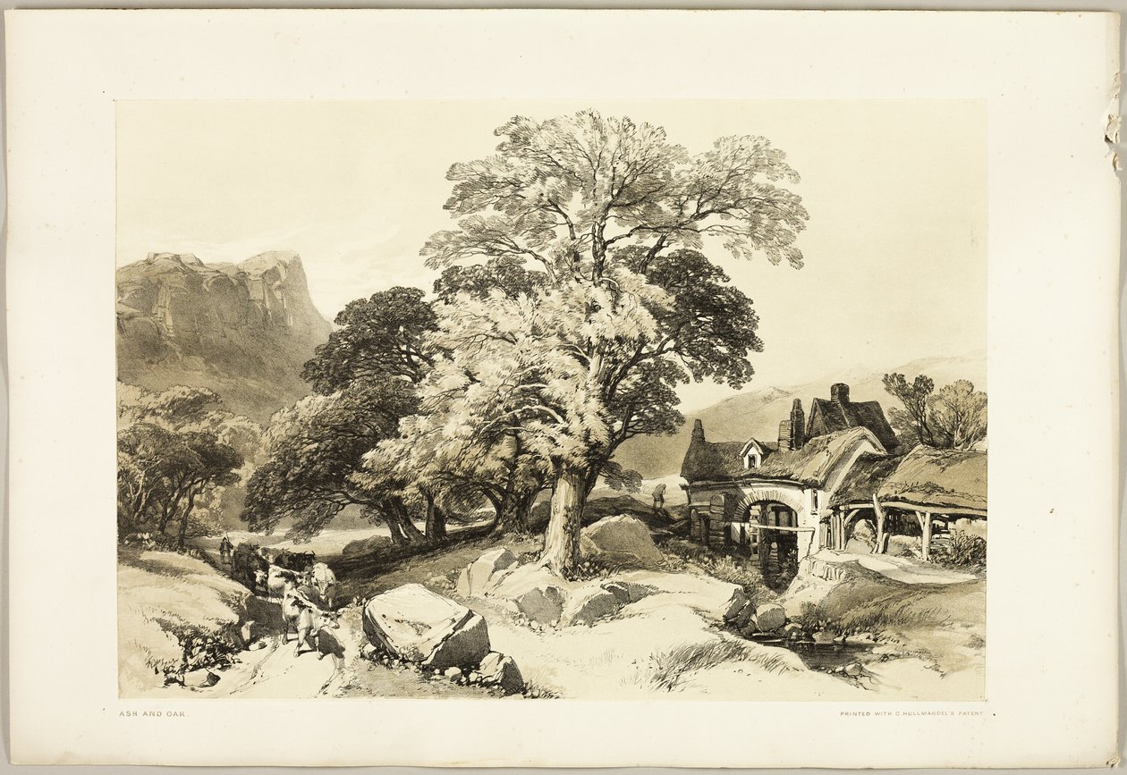 Es en Eik, uit Het Park en het Bos door James Duffield Harding
