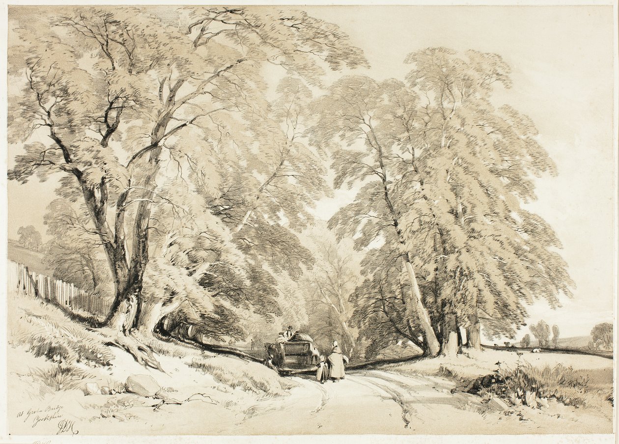 As, uit Het park en het bos door James Duffield Harding
