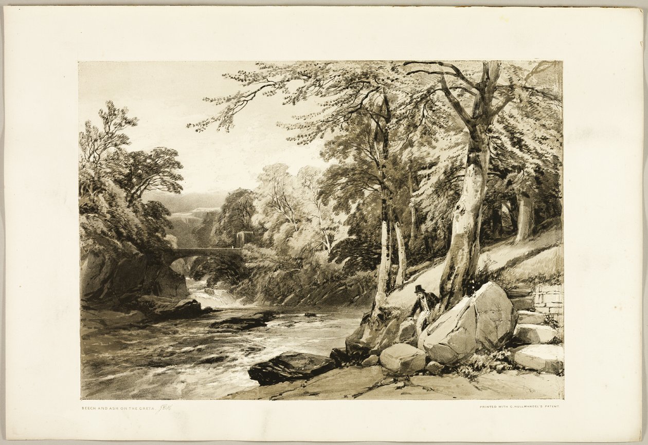 Beuk en es aan de Greta, uit Het park en het bos door James Duffield Harding