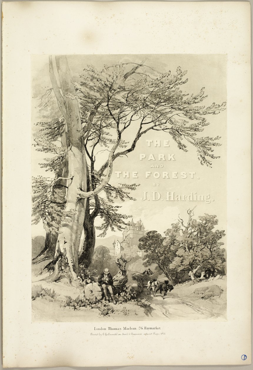 Beuk en Eik (Frontispice), uit Het Park en het Bos door James Duffield Harding