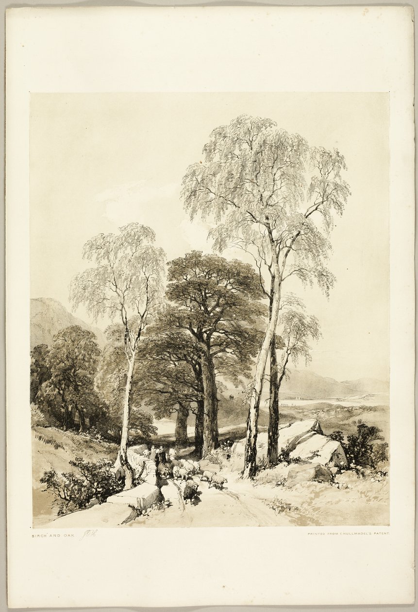 Berken en eiken, uit Het park en het bos door James Duffield Harding