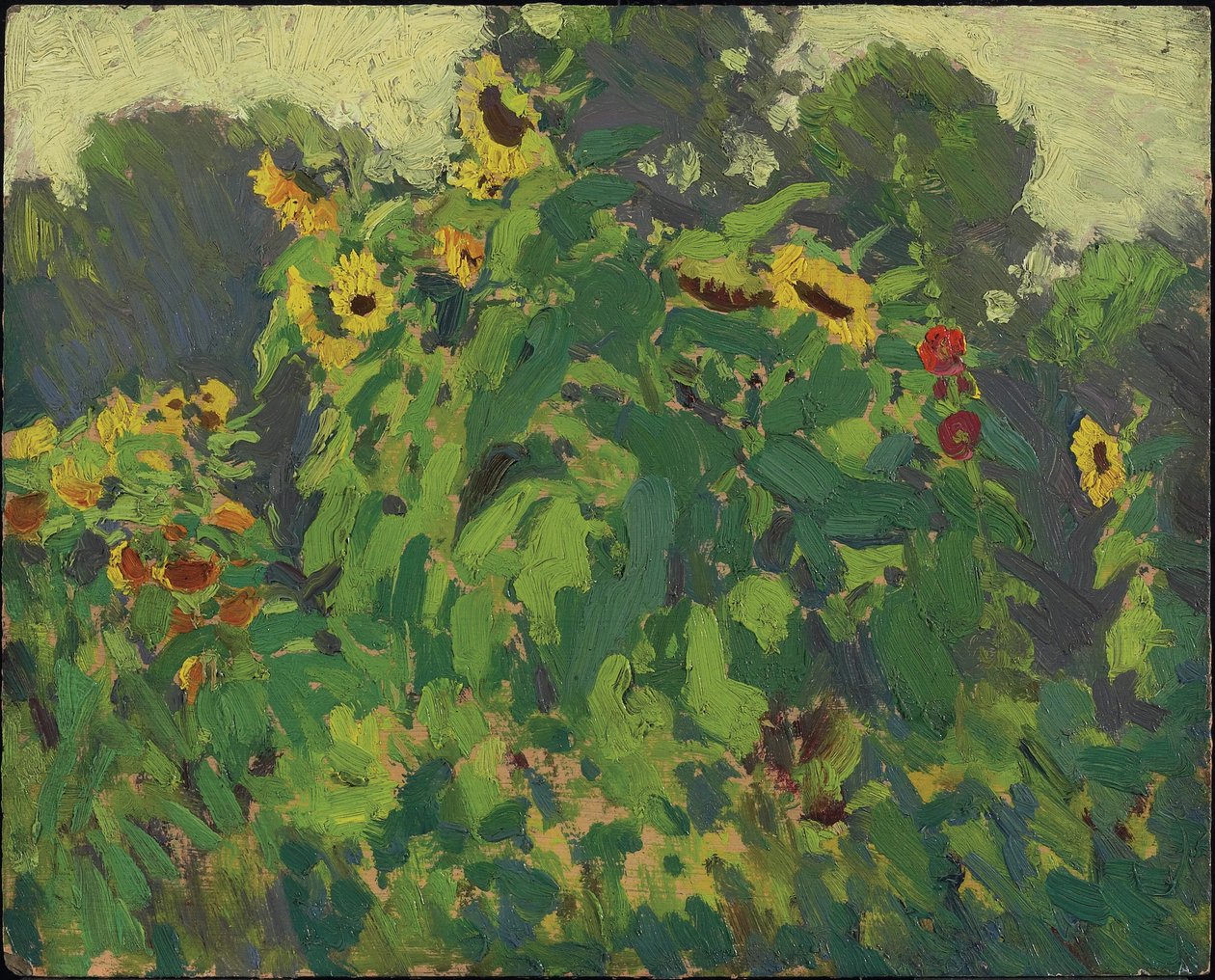 Zonnebloemen, Thornhill door James Edward Hervey Macdonald