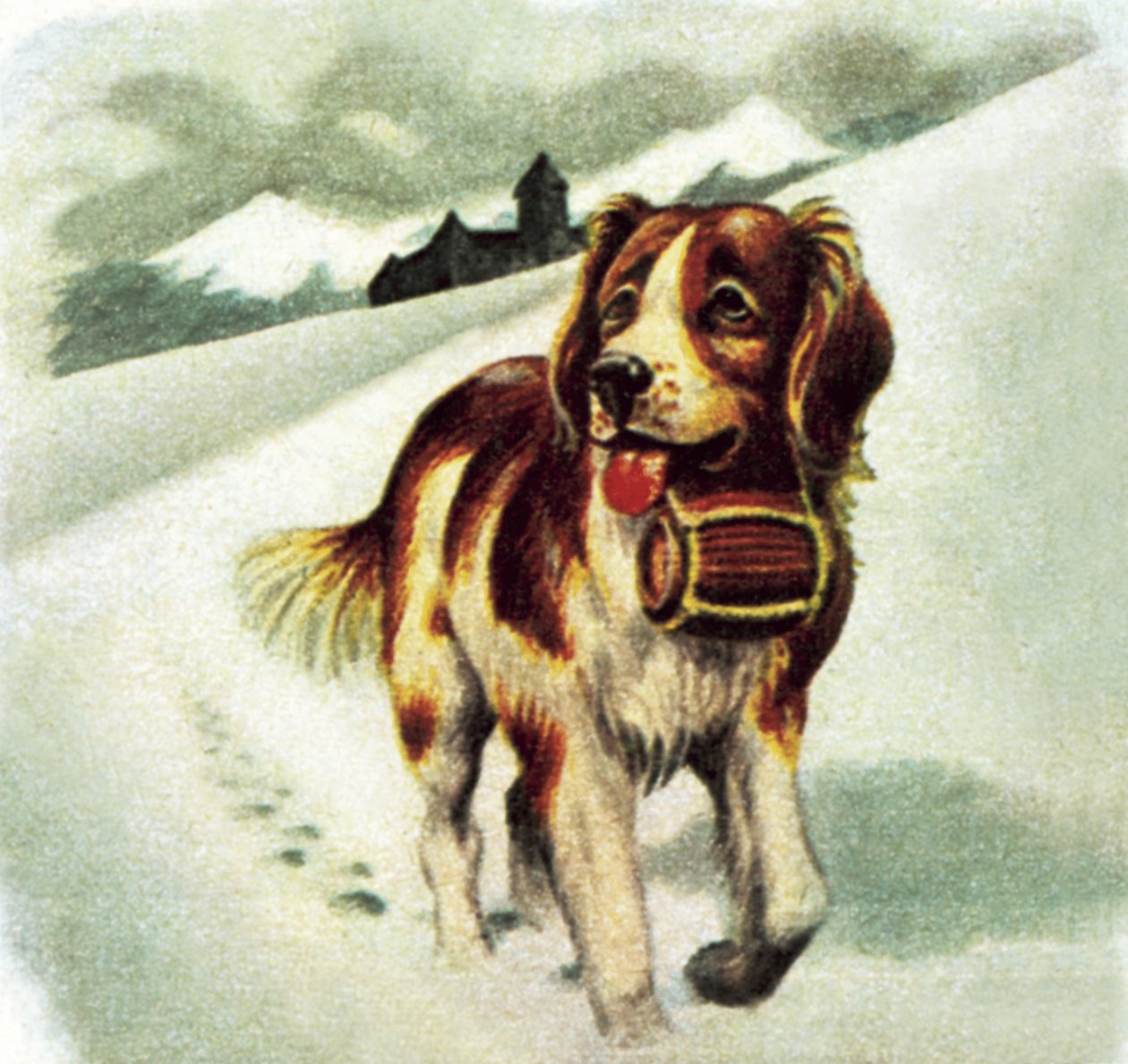 Sint Bernard hond door James Edwin McConnell