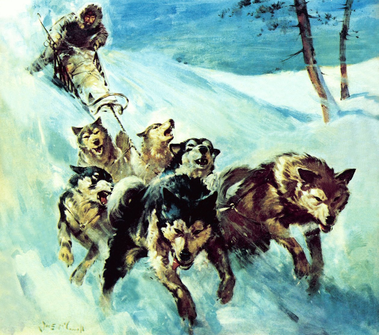 De Canadese Husky door James Edwin McConnell