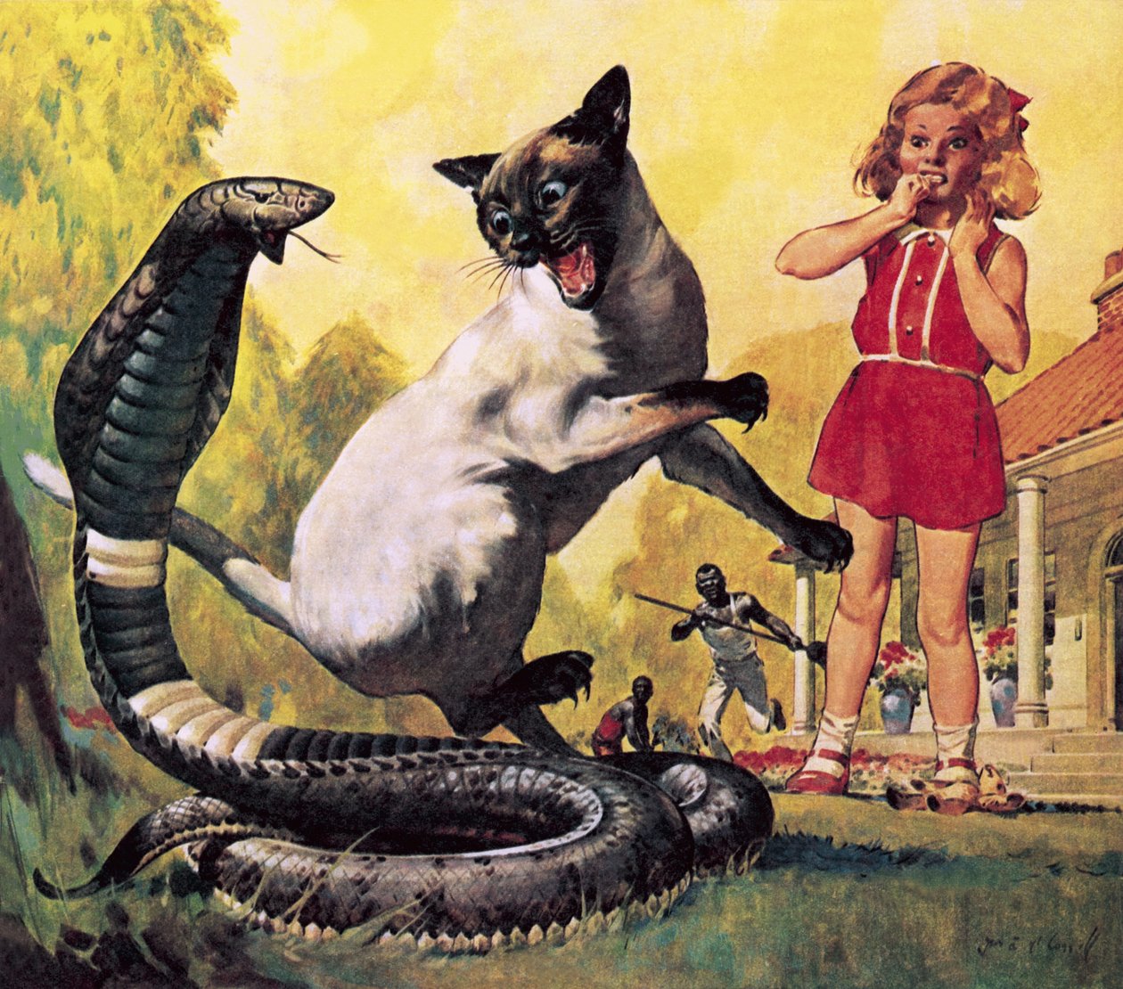 De moedige kat door James Edwin McConnell