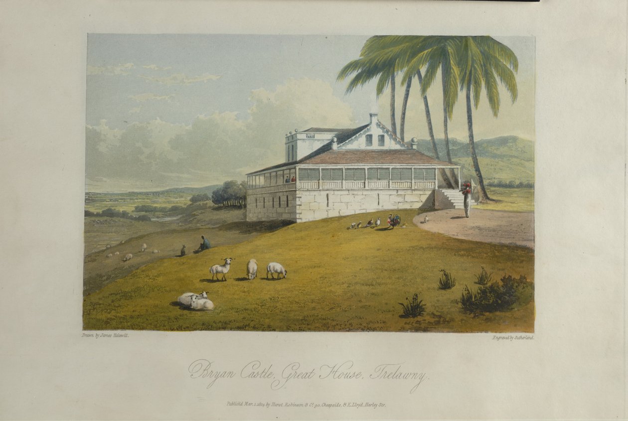 Bryan Castle, illustratie uit 
