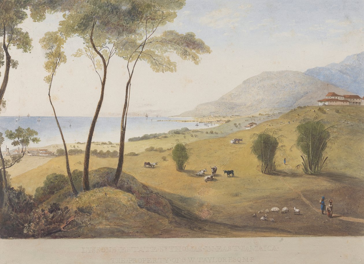 Lyssons Estate, St. Thomas in the East, Jamaica door James Hakewill