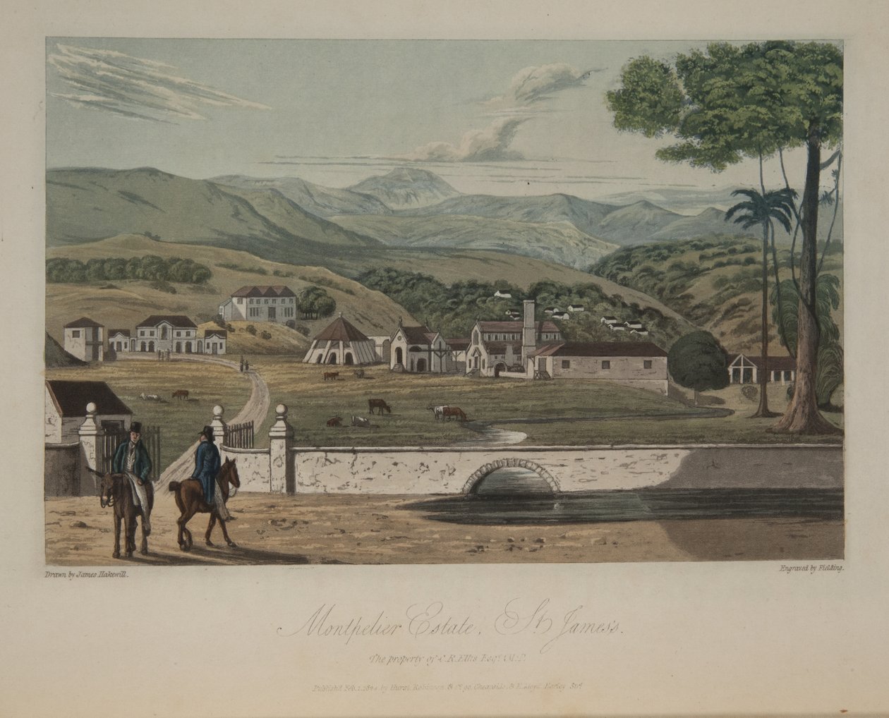 Montpelier Landgoed, St. James