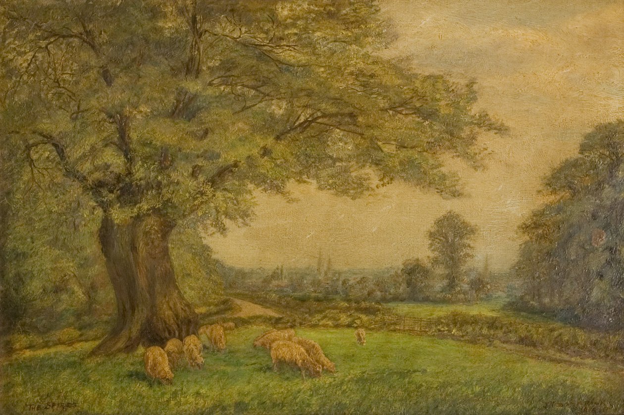 De torenspitsen van Coventry vanuit de verte door James Henry Bambrick
