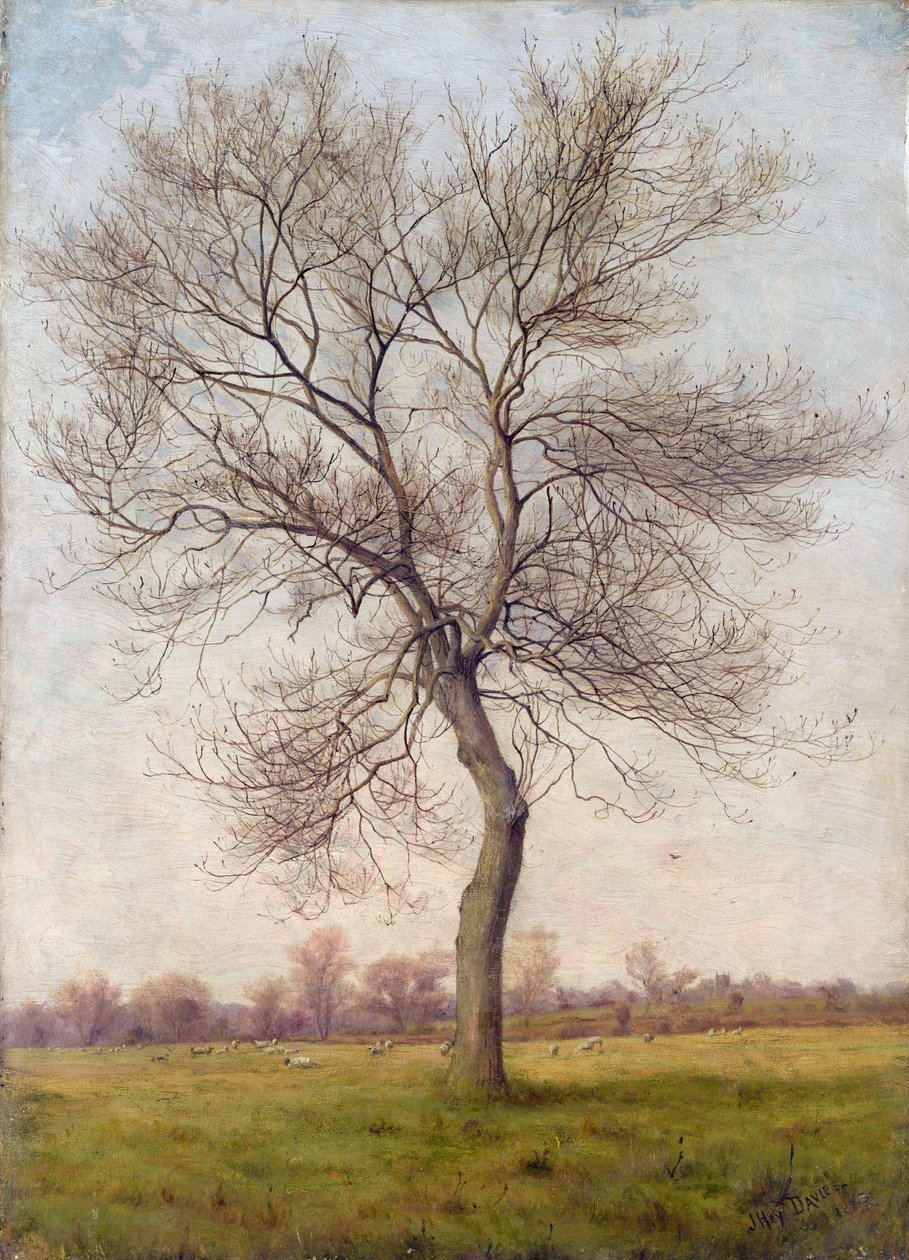 Studie van een Es in de Winter door James Hey Davies